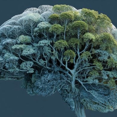 This shows a brain made up of trees.