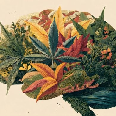 This shows a brian made up of cannabis leaves, implying the link between cannabis use and it's impact on working memory.