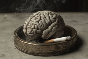 This shows a brain in an ashtray.