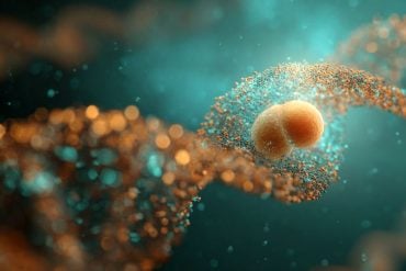 This shows DNA and a fetus.