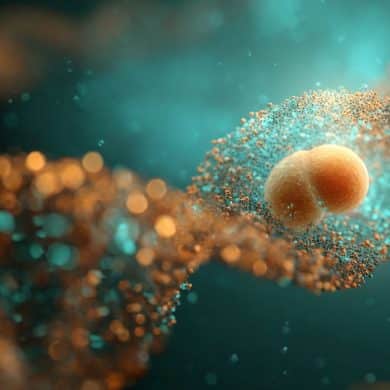 This shows DNA and a fetus.