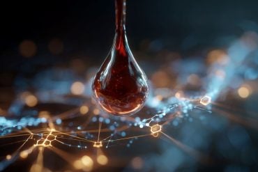 This shows a drop of blood and computer programming.