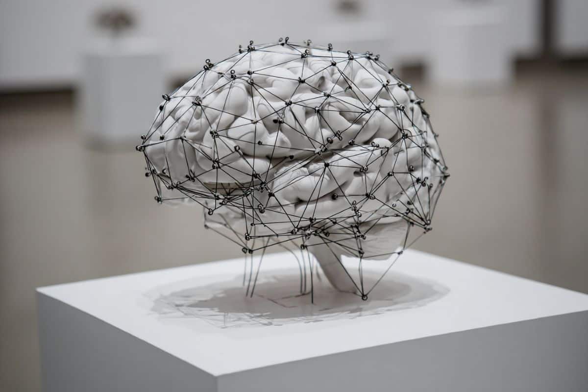 Researchers Find No Structural Navigation Link