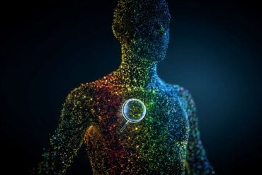 This shows the outline of a digital body.