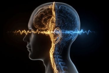 This shows a head, a brain and soundwave.