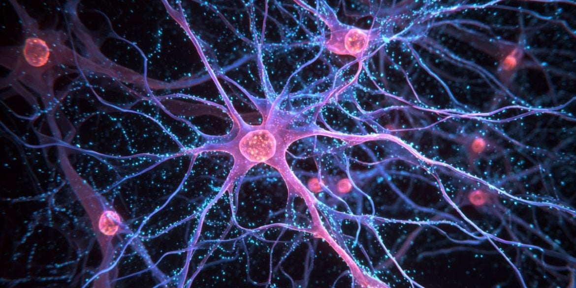 This shows astrocytes.