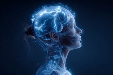 This shows the outline of a woman's head and a brain.