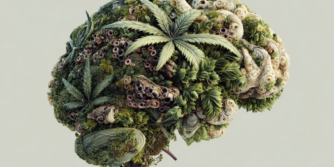 This shows a brain made up of leaves.