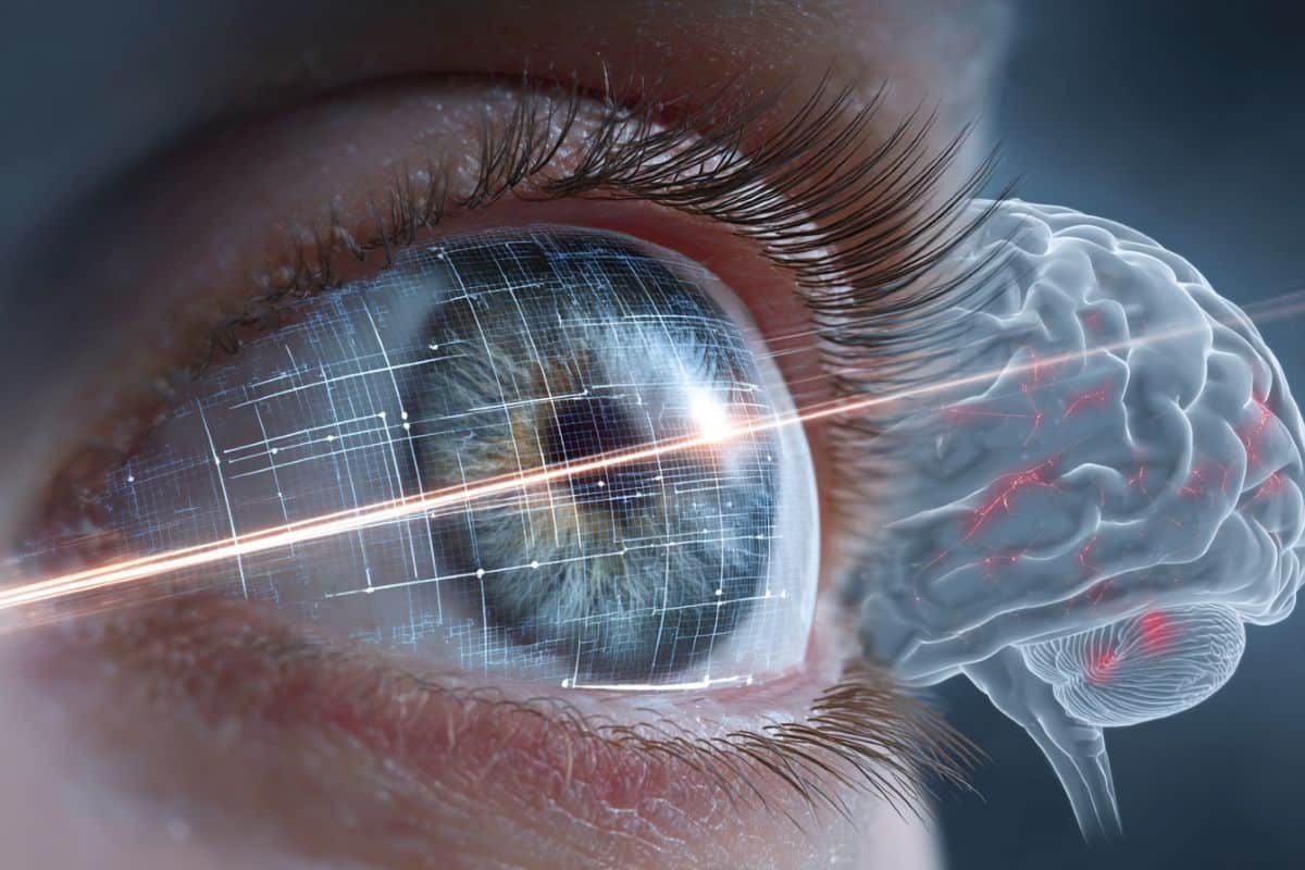 This shows a brain and an eye.