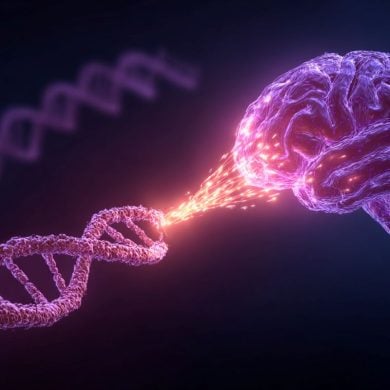 This shows DNA and a brain.