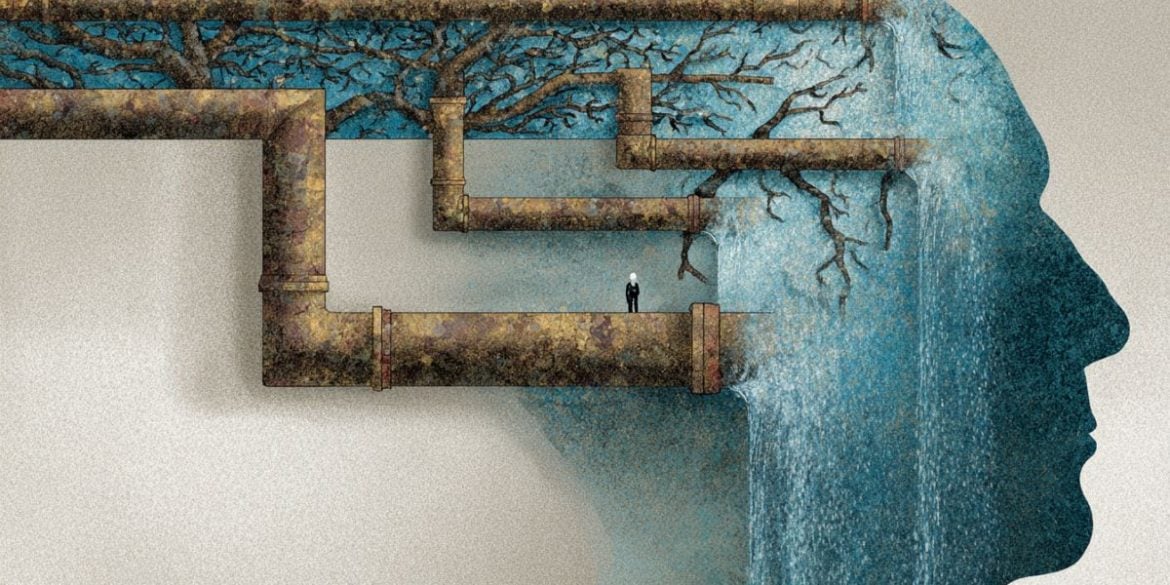 This shows a person's head and drainage system.