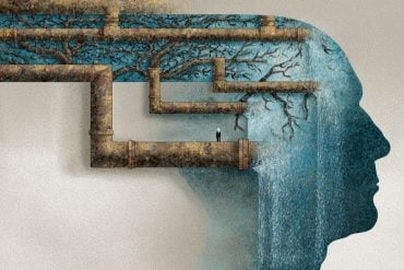 This shows a person's head and drainage system.