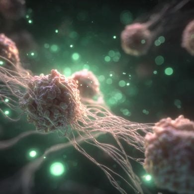 This shows bacteria.