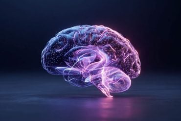 This shows a glowing brain.