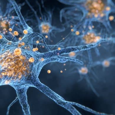 This shows a neuron.