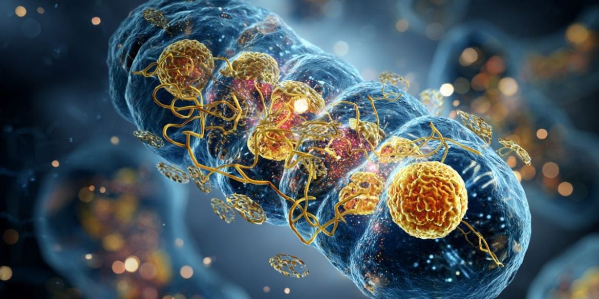 This shows an AI representation of mitochondria.