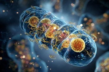 This shows an AI representation of mitochondria.