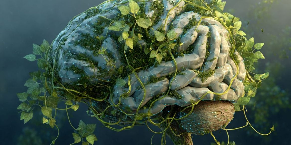 This shows a brain covered in leaves.