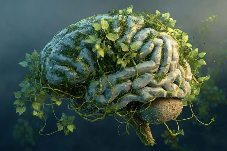 This shows a brain covered in leaves.