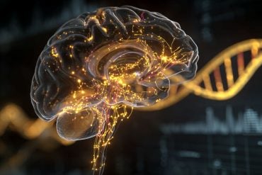 This shows a brain and DNA.