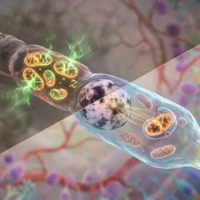 This shows a photoreceptor model, AI generated.