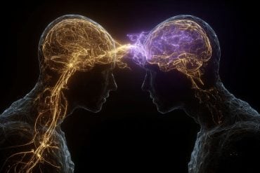 This shows two people looking at one another and two brains.