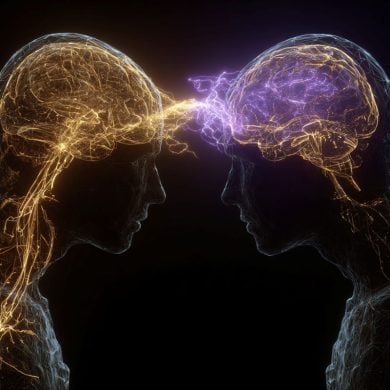 This shows two people looking at one another and two brains.