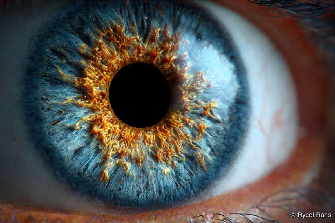 Vision Rescued: How Stem Cells “Rehabilitate” the Dying Eye