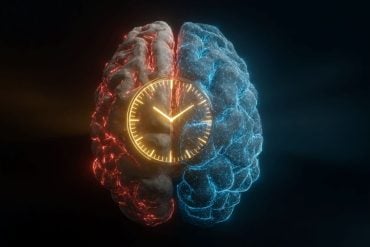 This shows a brain and a clock.