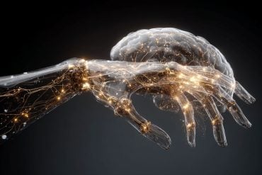 This shows a hand and a brain.