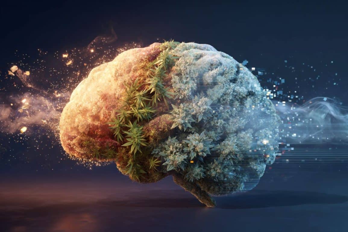 Young Adult Substance Use Affects Memory at 65