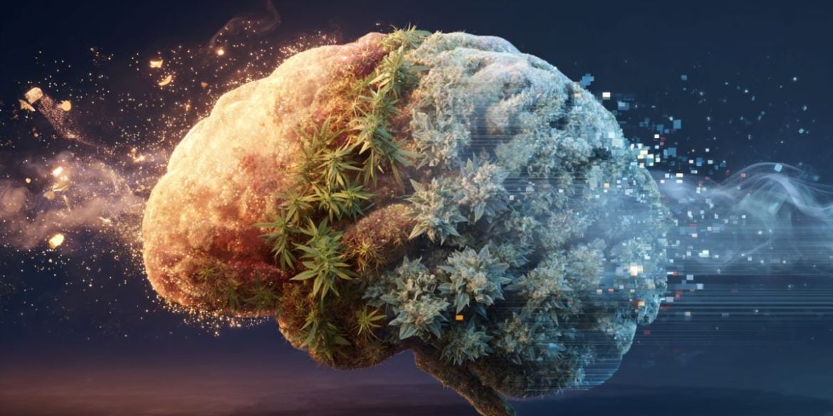 This shows a brain and leaves.