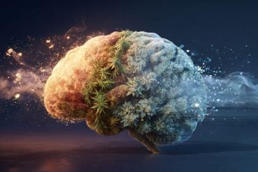 This shows a brain and leaves.