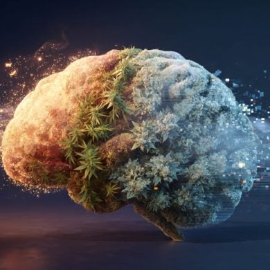 This shows a brain and leaves.