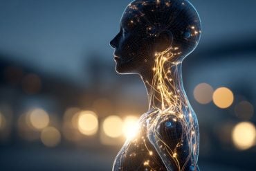 This shows the glowing outline of a woman.