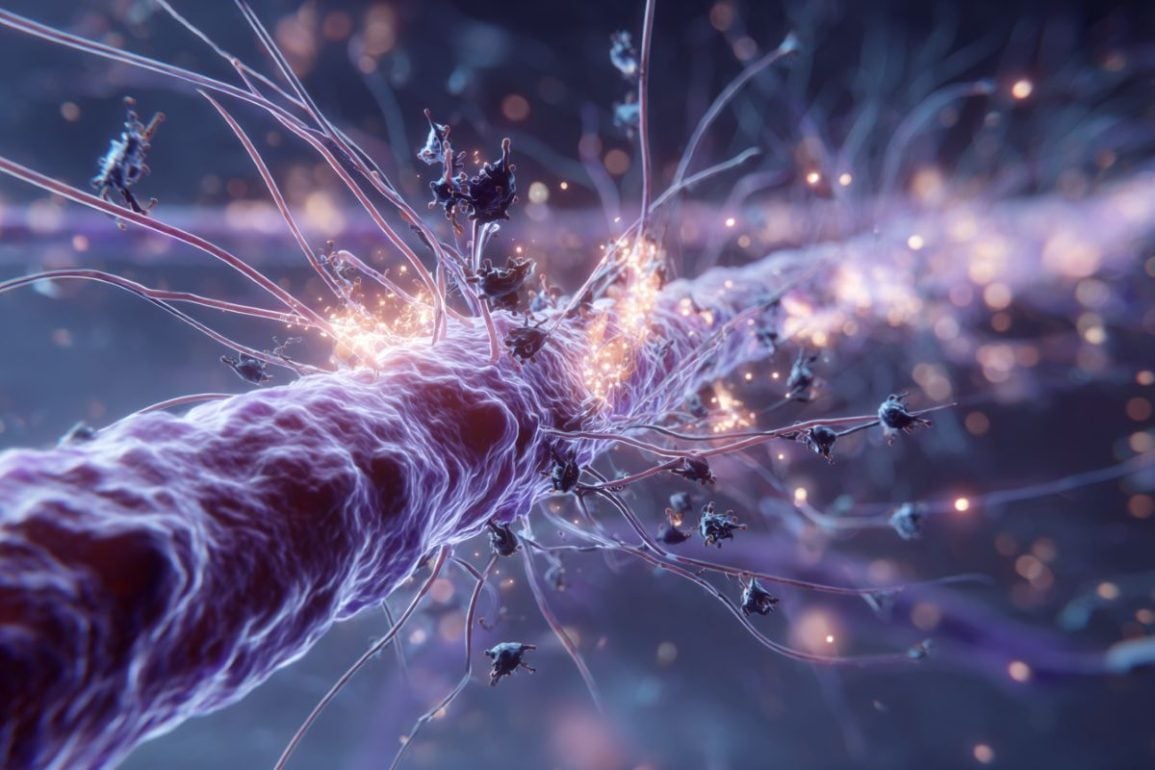 Tubulin May Prevent Against Alzheimer’s and Parkinson’s