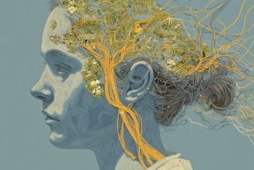 This shows a woman's head and a mechanical brain.