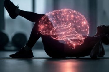 This shows a person doing sit-ups and a brain.