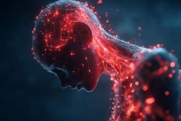 This shows the outline of a digital person.