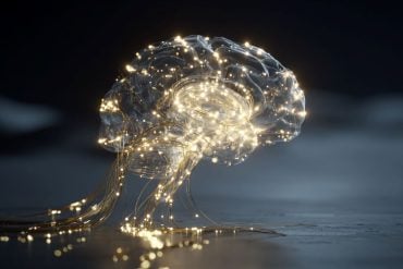 This shows a brain with a network of lights.
