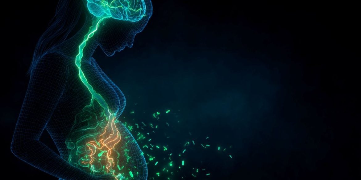 This shows the outline of a pregnant woman, the gut-brain axis and bacteria.