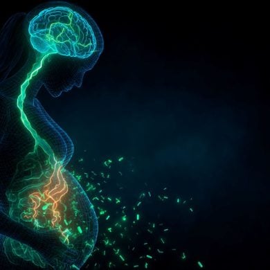 This shows the outline of a pregnant woman, the gut-brain axis and bacteria.