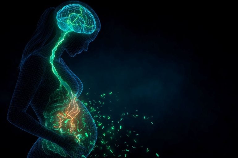 This shows the outline of a pregnant woman, the gut-brain axis and bacteria.