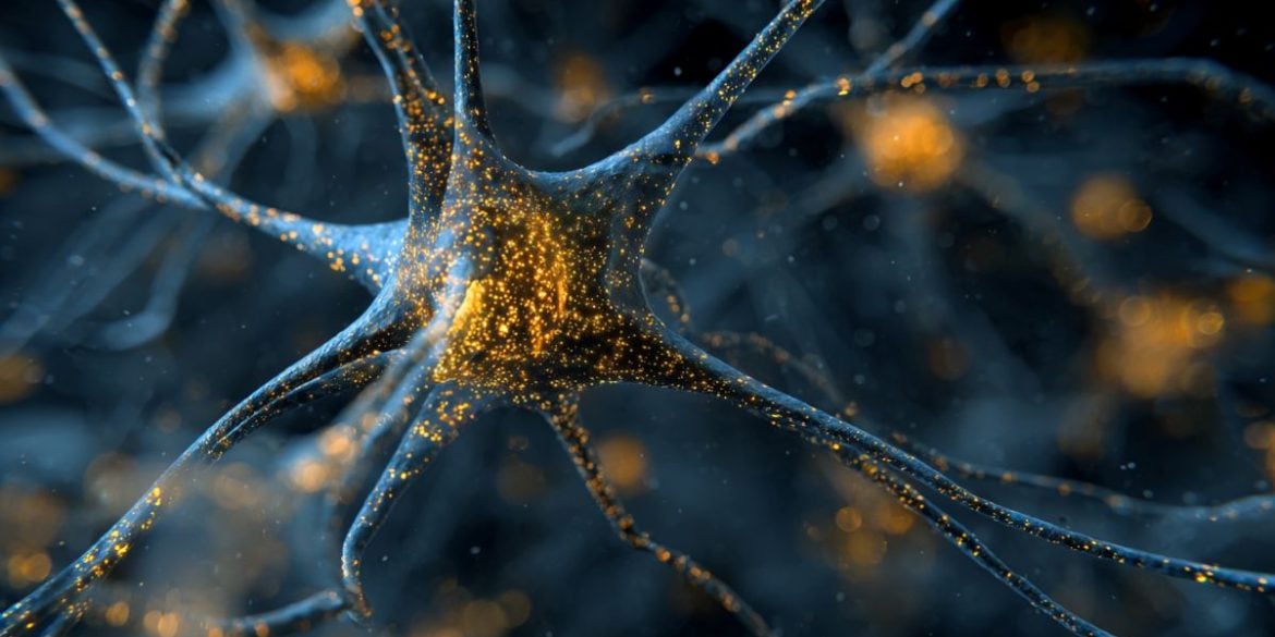 This shows an astrocyte.