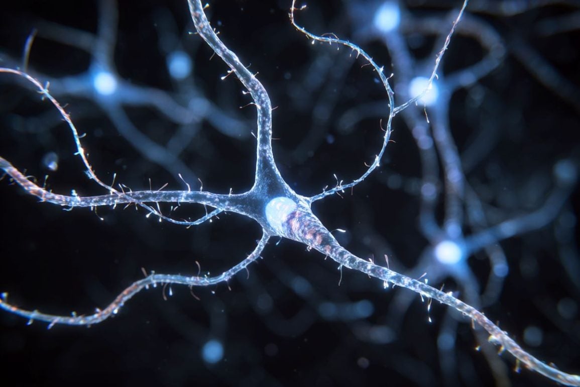 Researchers Unlock the Key to Axon Regeneration