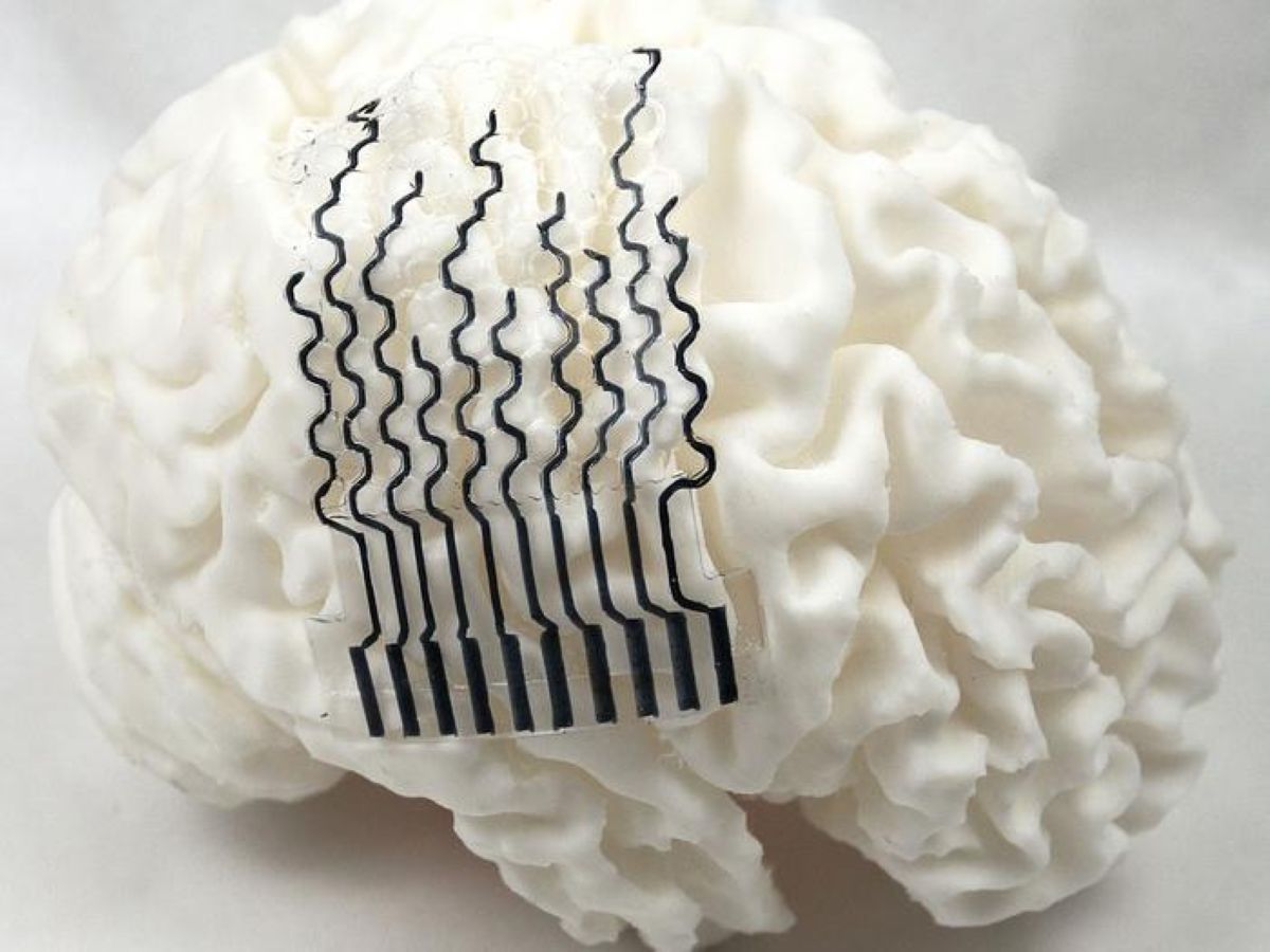 This shows a brain model with the bci on it.