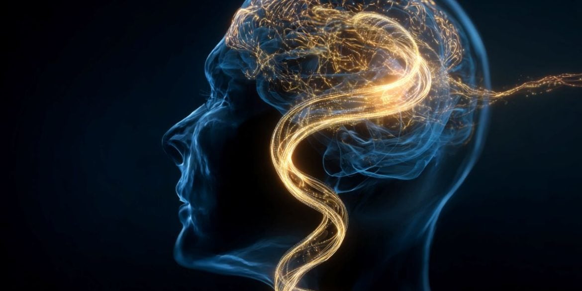 This shows the outline of a head.