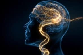 This shows the outline of a head.