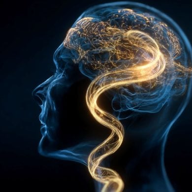 This shows the outline of a head.