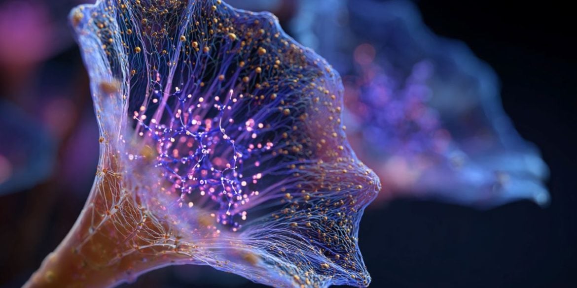 This shows an AI representation of a Stentor coeruleus organism.